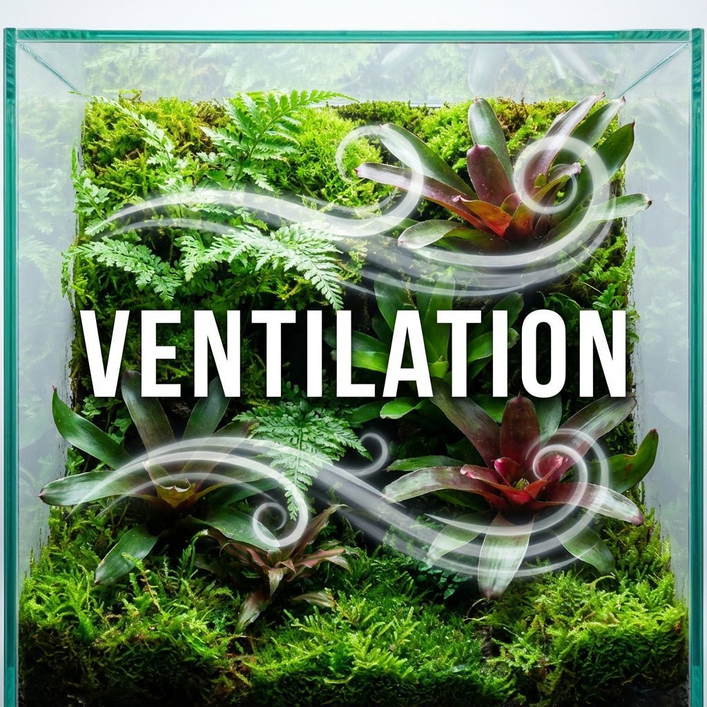 Comment gérer la ventilation dans un terrarium tropical ? - TerraLife