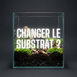 Faut-il remplacer complètement le substrat d’un terrarium bioactif ? - TerraLife