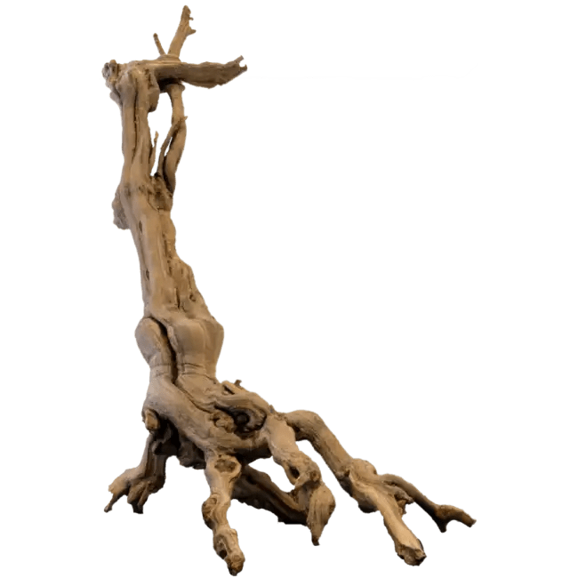 Bois de Vigne Sablé - TerraLife
