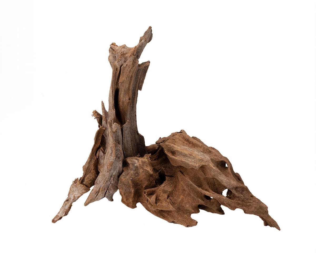Bois Malaisie Driftwood - TerraLife