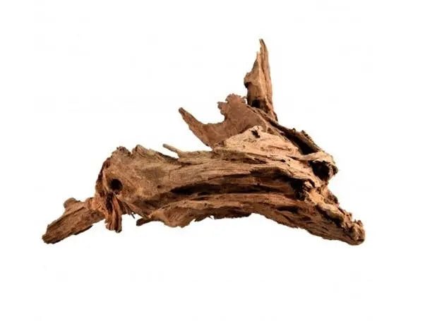 Bois Malaisie Driftwood - TerraLife
