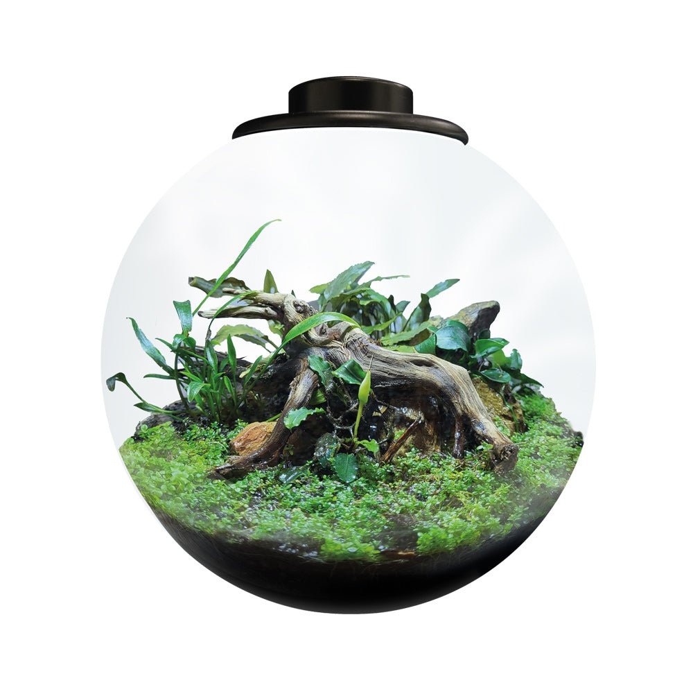 Bol BioArt 225 - TerraLife