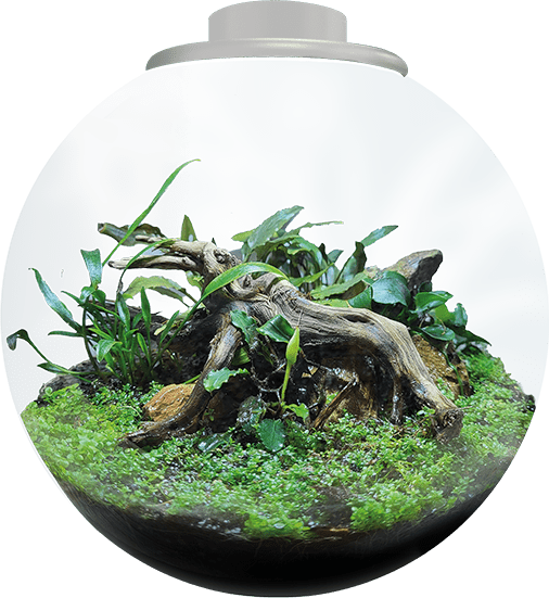 Bol BioArt 225 - TerraLife