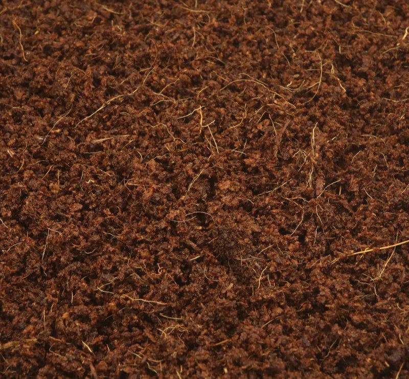 Fibre de Coco - TerraLife