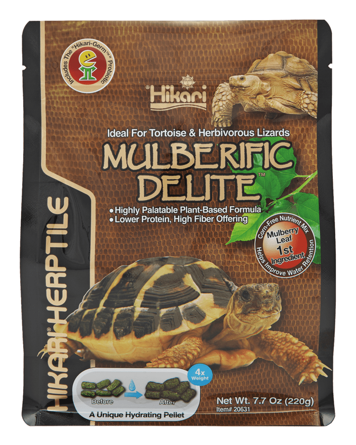 Hikari Turtle Mulberific - TerraLife