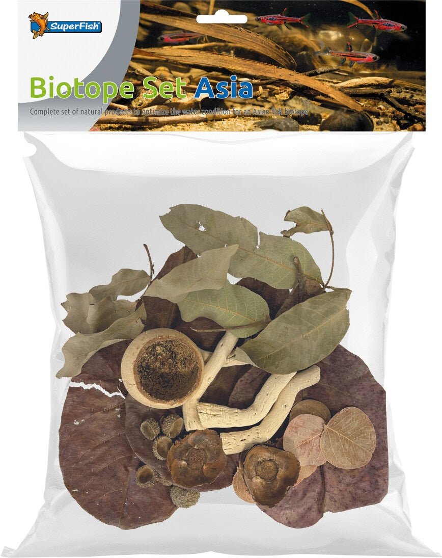 Kit Biotope Asiatique - Botanicals Naturels Terrarium & Paludarium - TerraLife