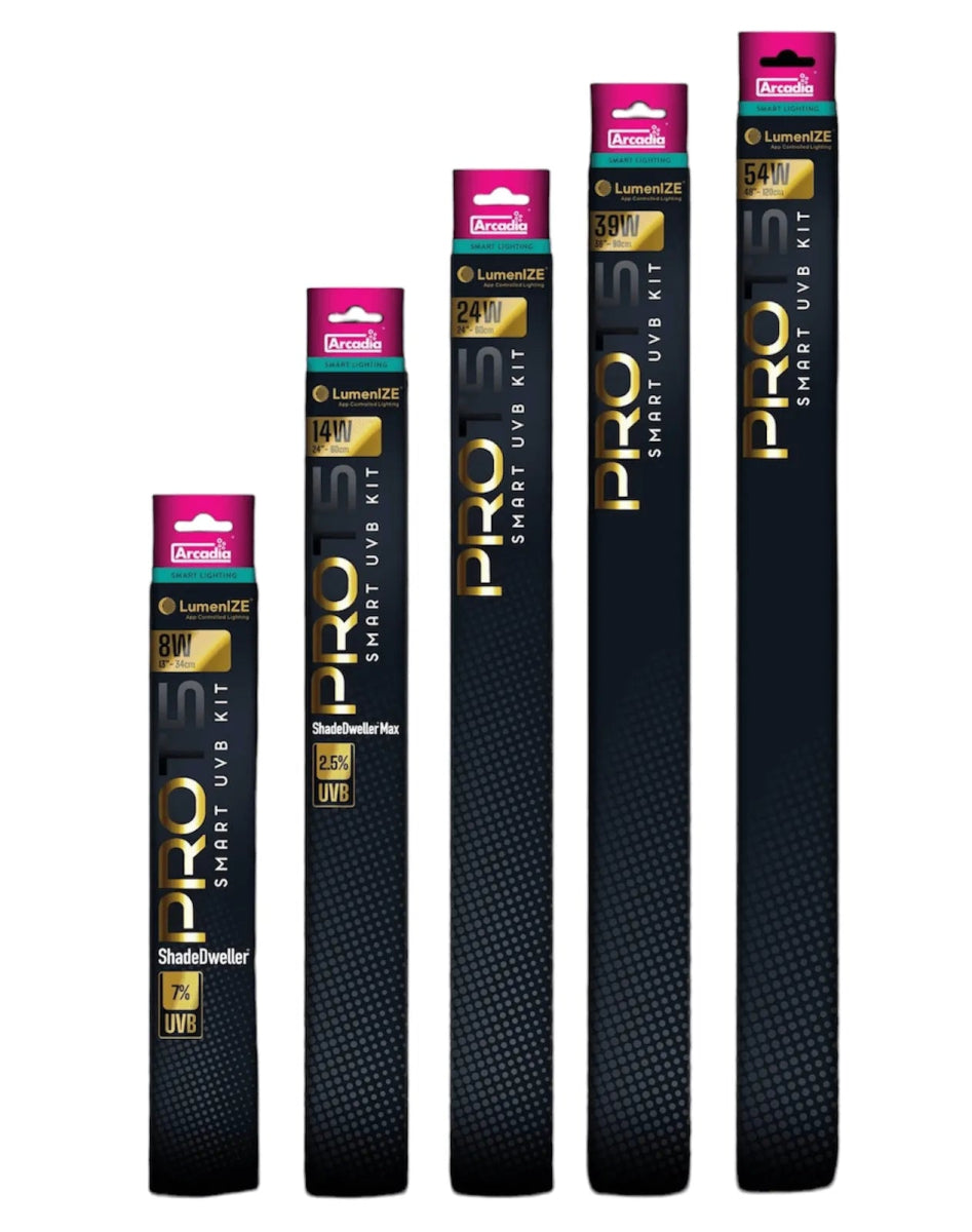LumenIZE Pro T5 UVB - TerraLife