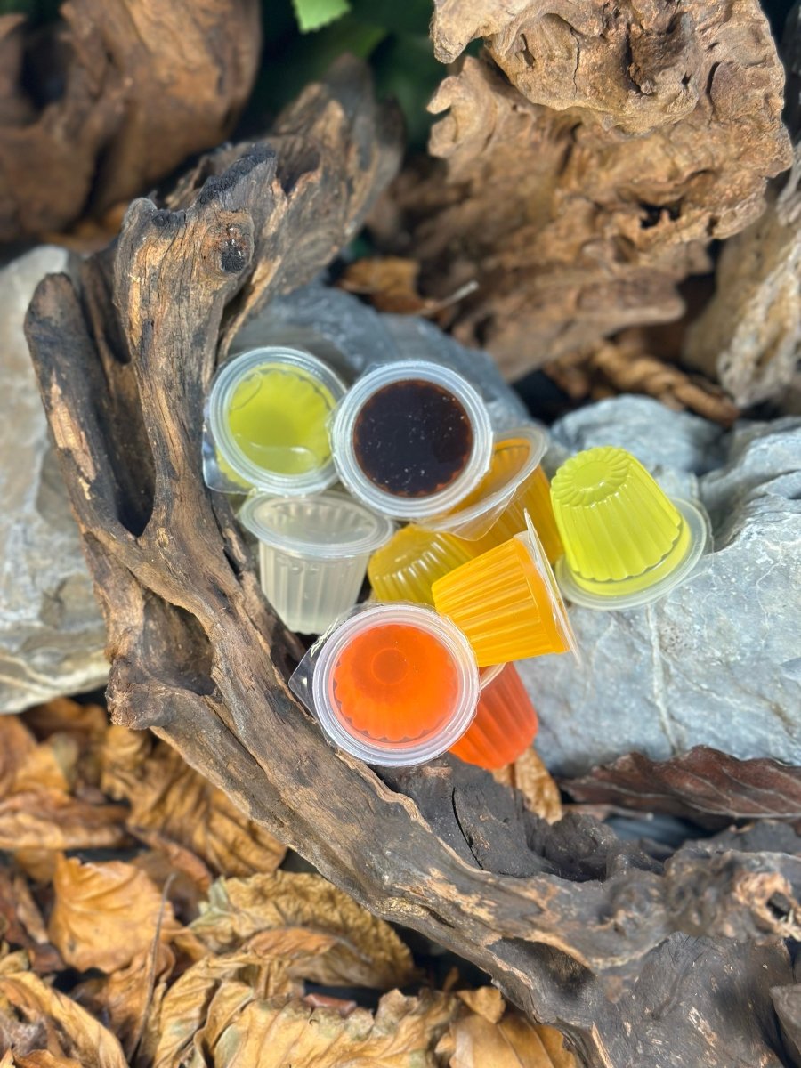 Mix de Gelée de Fruits "Jelly" - TerraLife