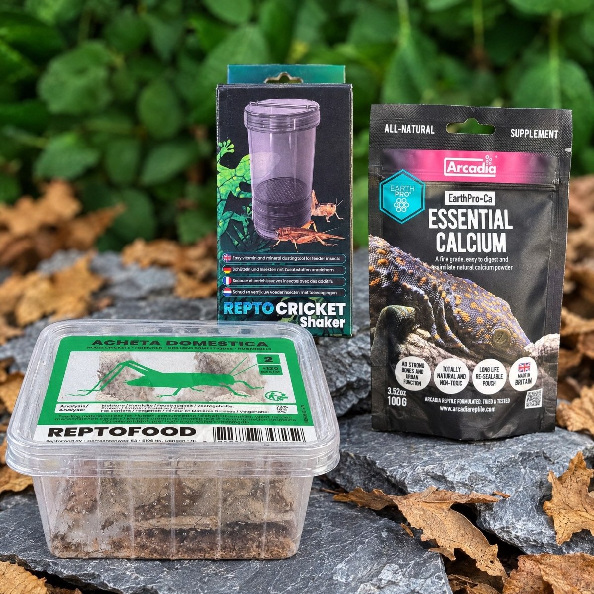 Pack Nourriture Gecko Essentiel – Alimentation - TerraLife