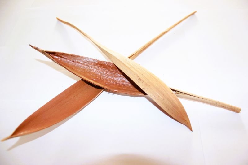 Palm Boat - TerraLife
