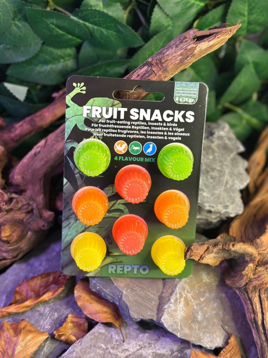 Repto Fruit Snacks - TerraLife
