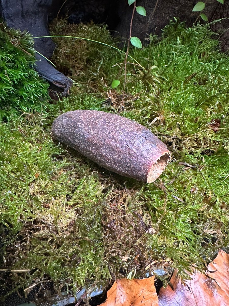 Savu Pod - TerraLife
