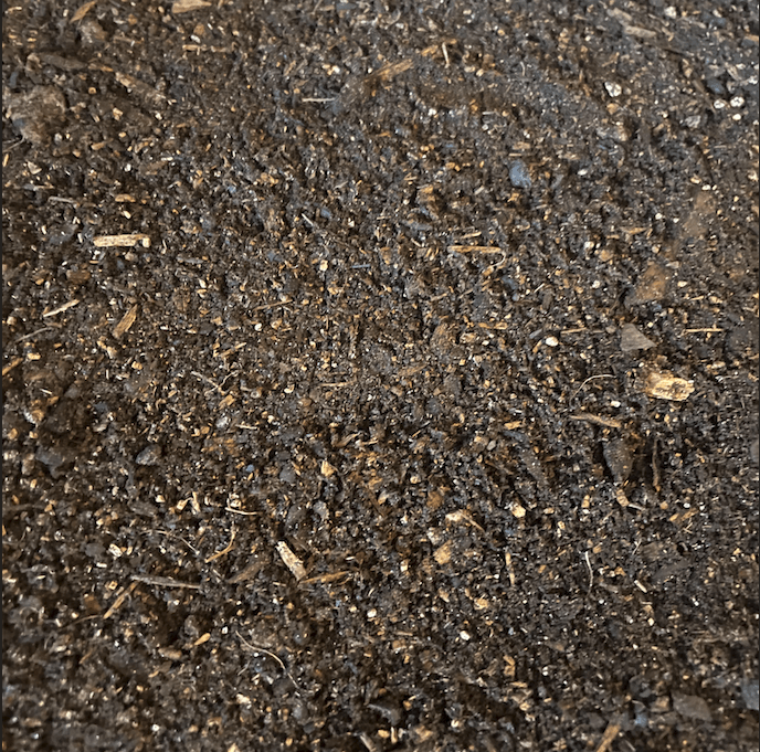 Substrat pour Isopodes Naturel – Terrarium Bioactif - TerraLife