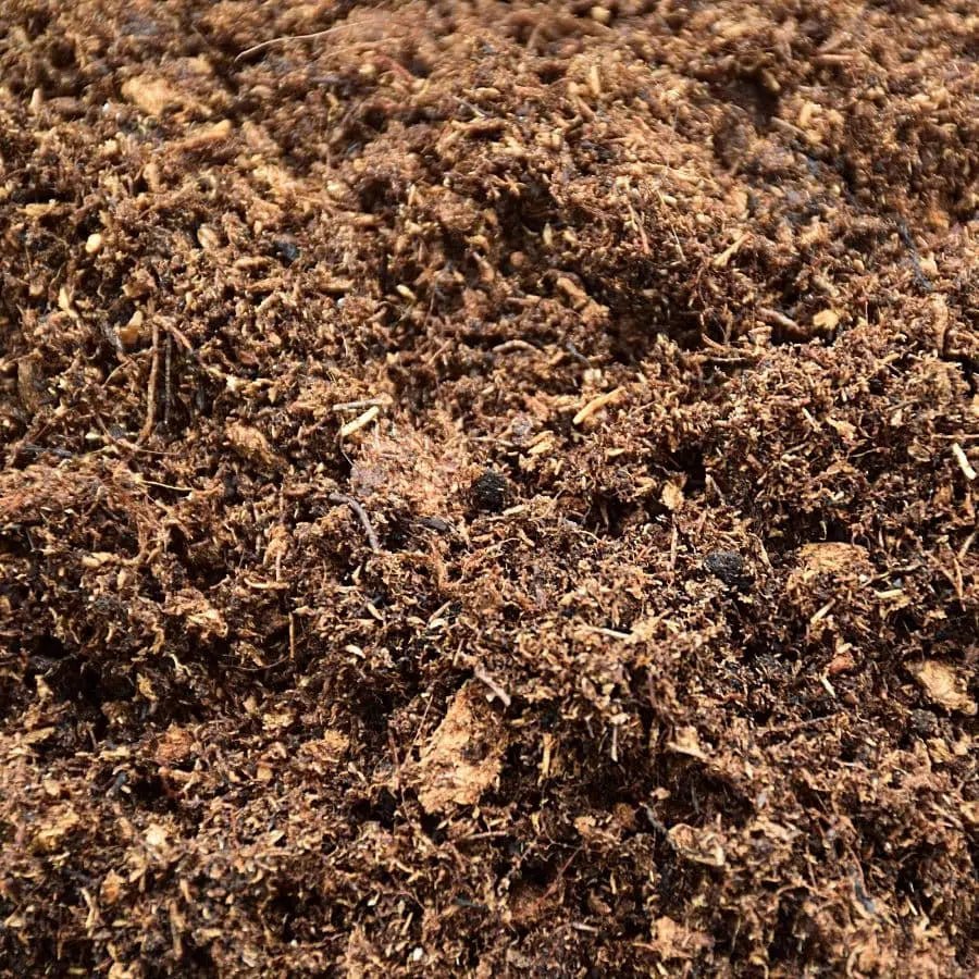 Tourbe blonde - TerraLife